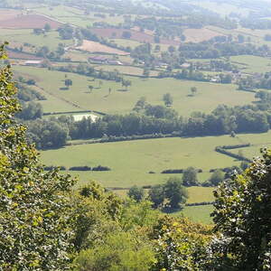 Pfarrreise