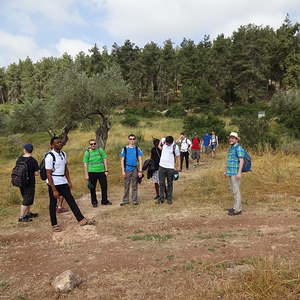 Wanderung nach Zippori